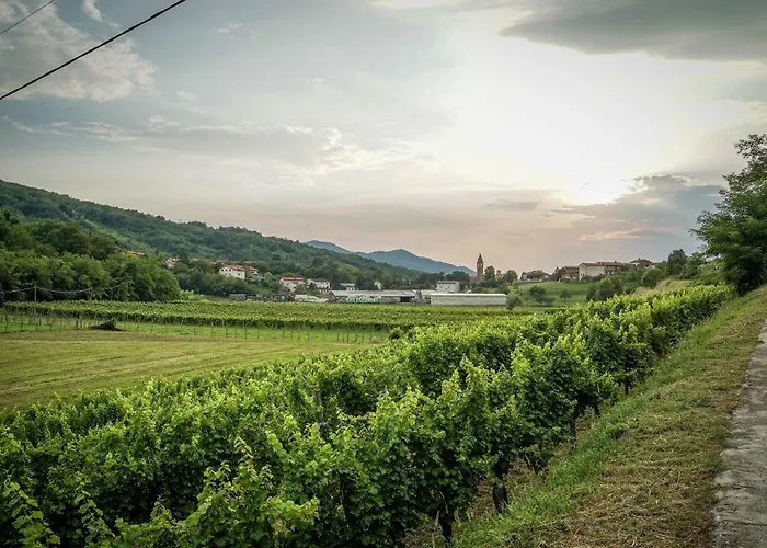 Gamajama * Dobravlje